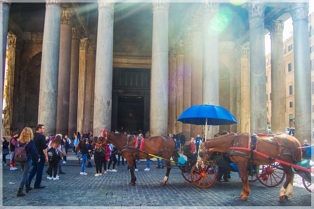 Konie w Rzymie Pantheon Cavalli a Roma