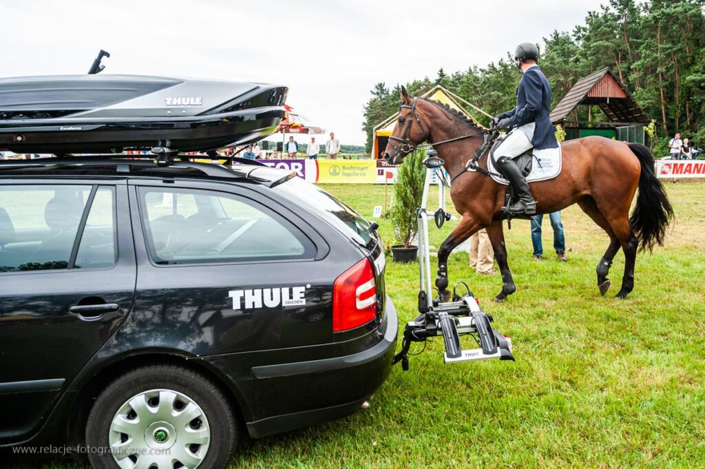 Land Rover Car vs Horse 